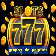 grupos de palpites de futebol whatsapp